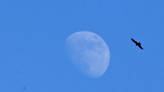 Noida, India- December 11, 2024: A view of moon was clearly visible during the day due to the drop in air pollution level after the light rain in the past few days, in Noida, India, on Wednesday, December 11, 2024. (Photo by Sunil Ghosh / Hindustan Times) Noida, India- December 11, 2024: A view of moon was clearly visible during the day due to the drop in air pollution level after the light rain in the past few days, in Noida, India, on Wednesday, December 11, 2024. (Photo by Sunil Ghosh / Hindustan Times)