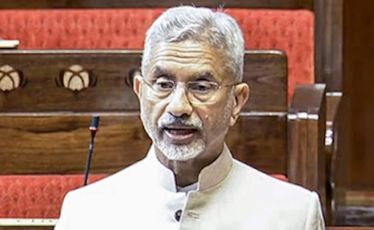 "Process Of Deportation Not New": S Jaishankar On US Sending Back 104 Indians