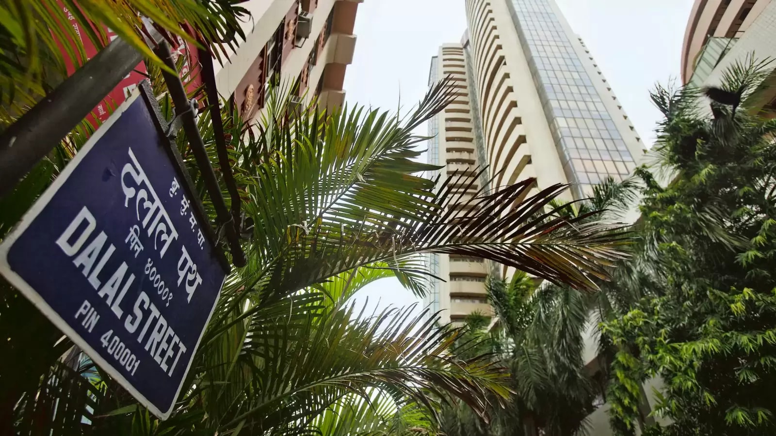 Top Gainers and Losers today on 20 February, 2025: Shriram Finance, NTPC, HDFC Bank, Maruti Suzuki India among most active stocks; Check full list here | Stock Market News