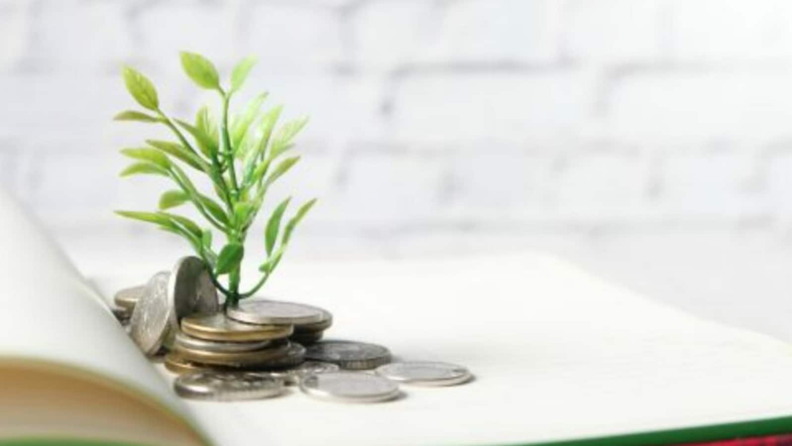 What is will and how it can protect your loved ones from financial stress | Mint